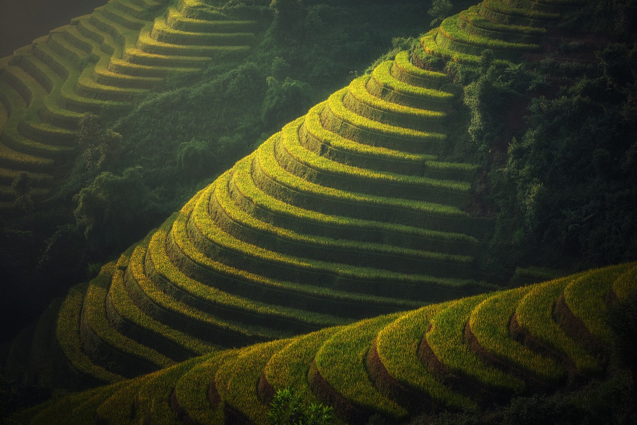 天誅地滅與生肖精準(zhǔn)解析——探尋背后深意