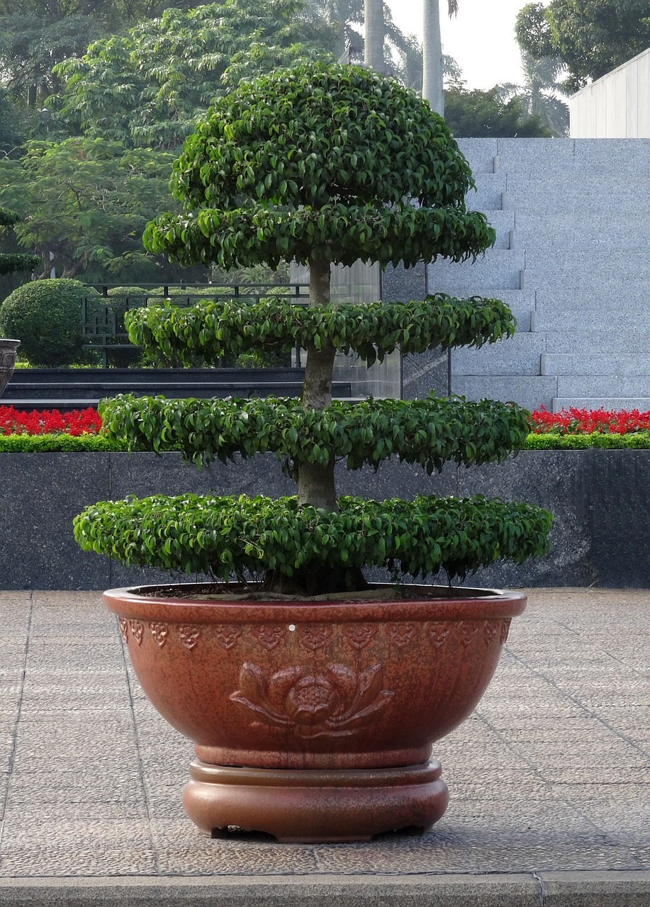 室外高盆栽綠植的藝術(shù)與生態(tài)價(jià)值