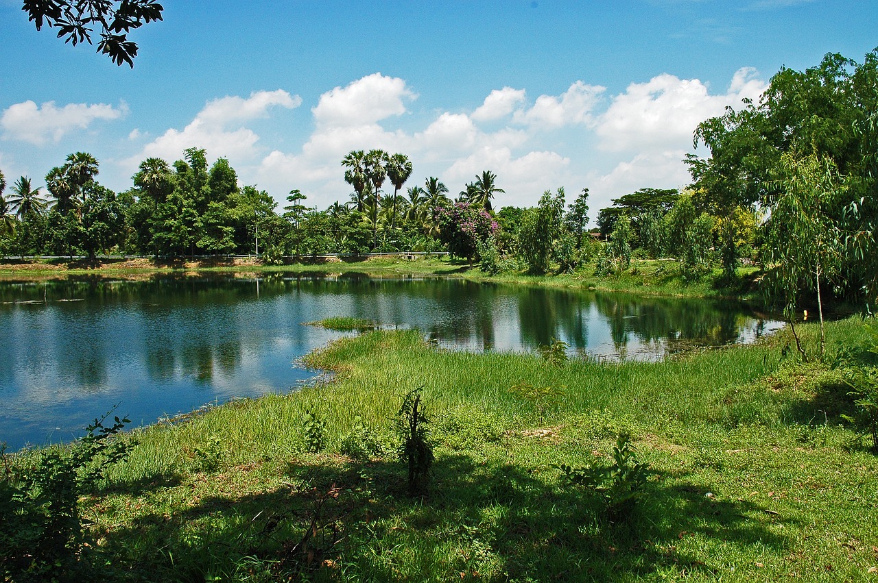 俯瞰北京奧林匹克公園，自然與現(xiàn)代的完美融合