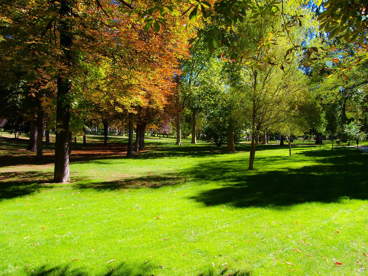 北京奧林匹克公園撿垃圾，守護(hù)綠色，從我做起