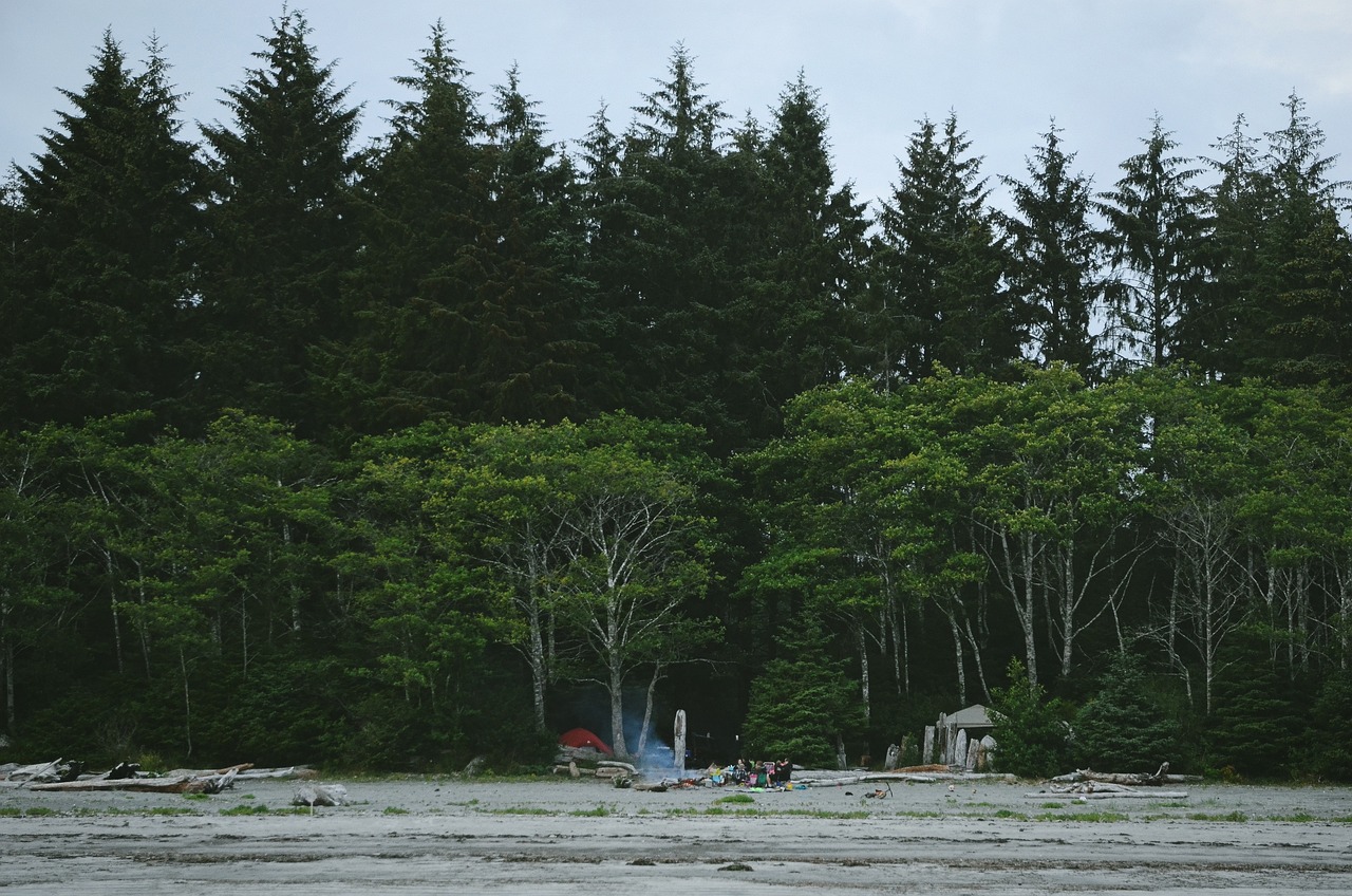 勒泰森林公園露營(yíng)燒烤，一次親近自然的絕佳體驗(yàn)