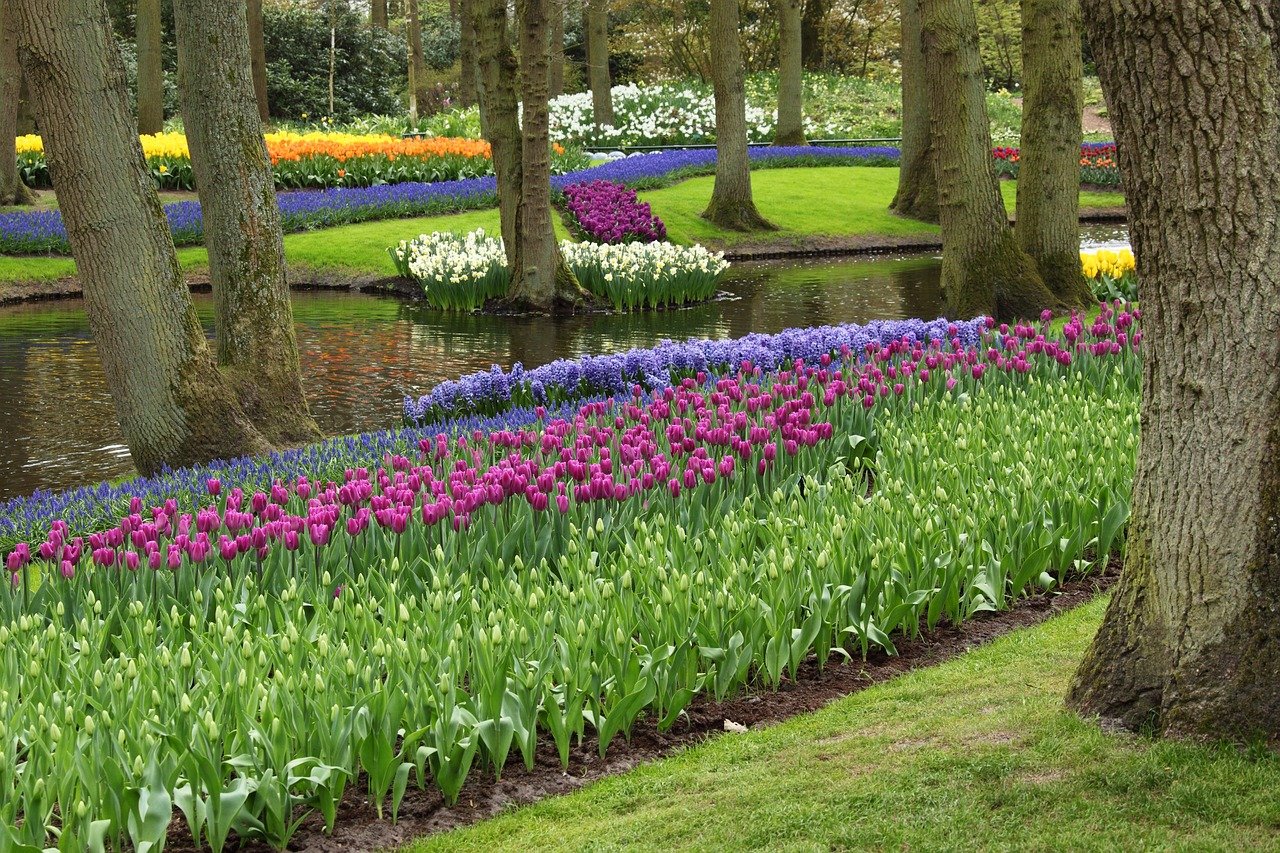 北京奧林匹克公園風景圖，一幅活力四溢的畫卷