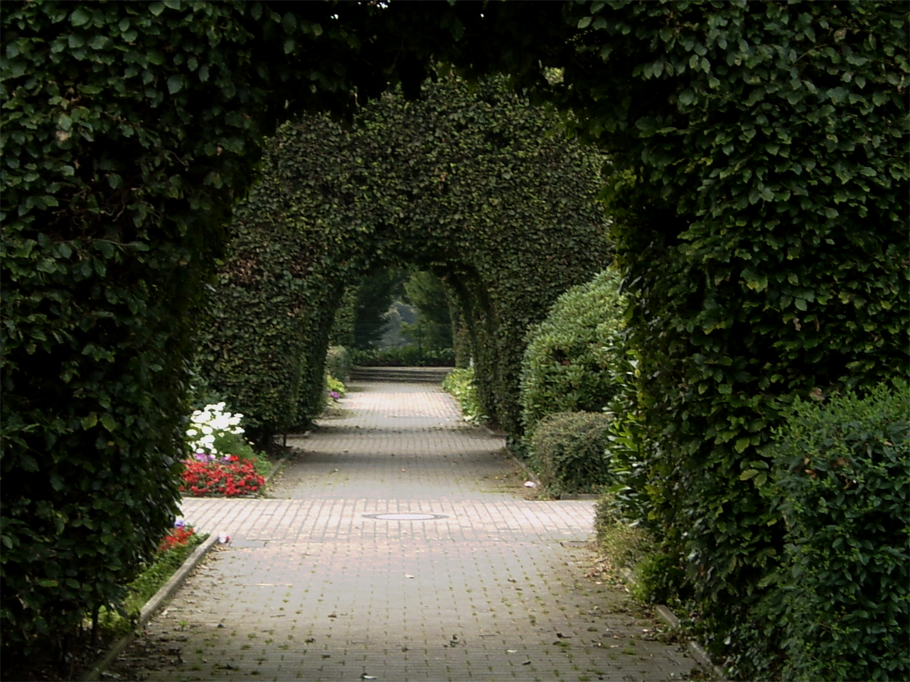 北京奧林匹克公園南園荷花之美