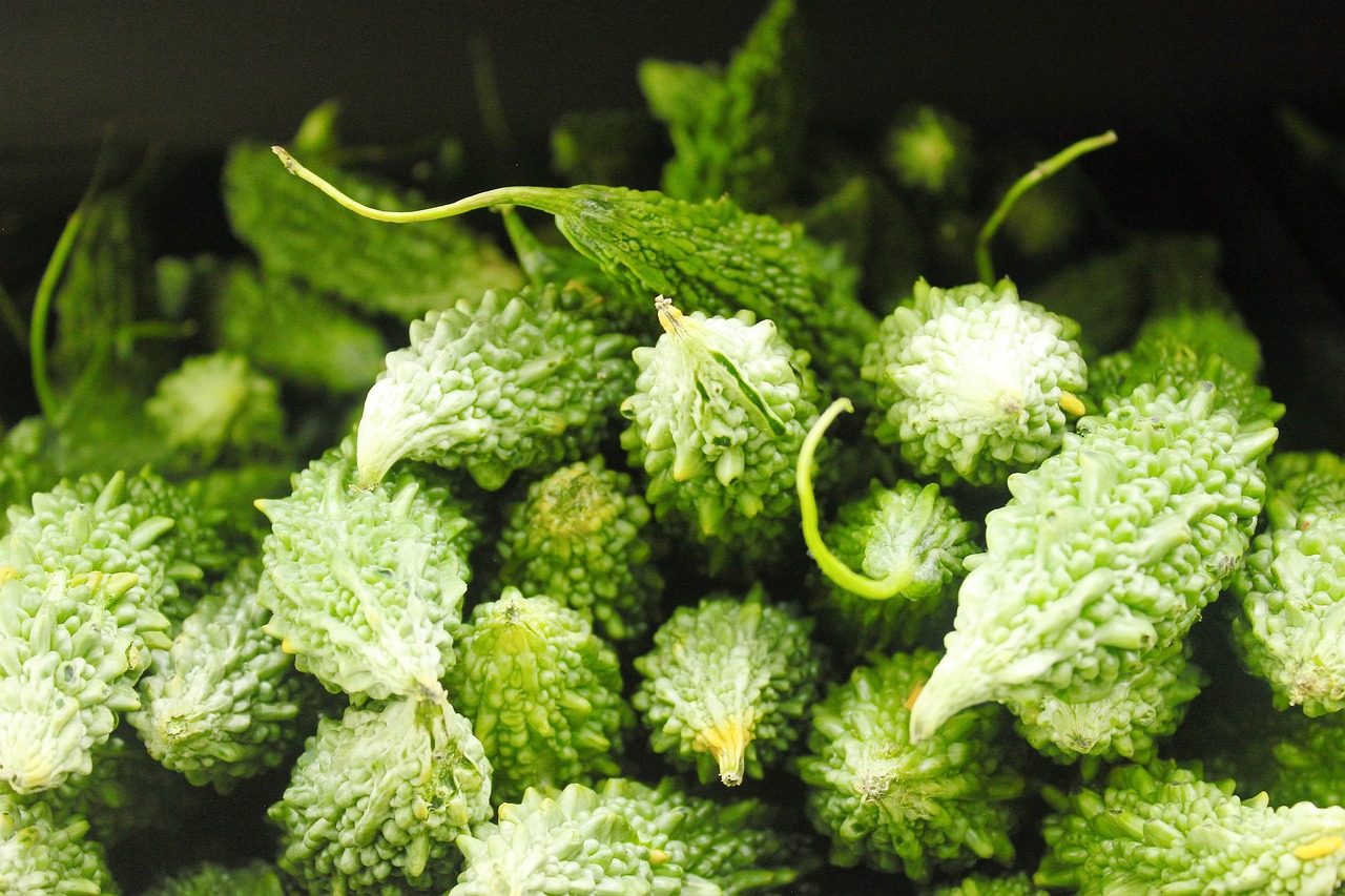 綠植盆栽大全室內(nèi)，美化家居的絕佳選擇