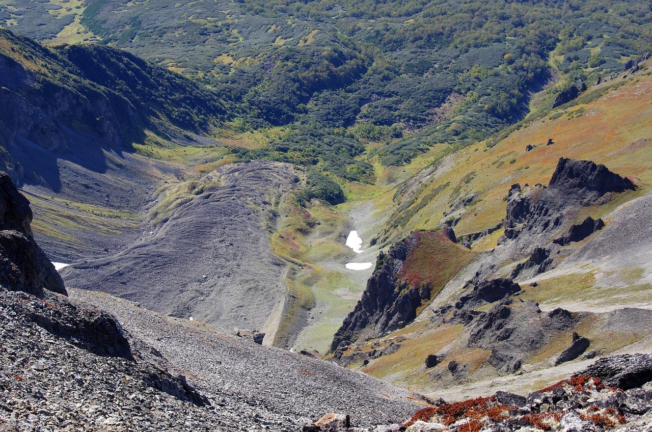 杉嶼森林露營燒烤之旅，價格與體驗的全面解析