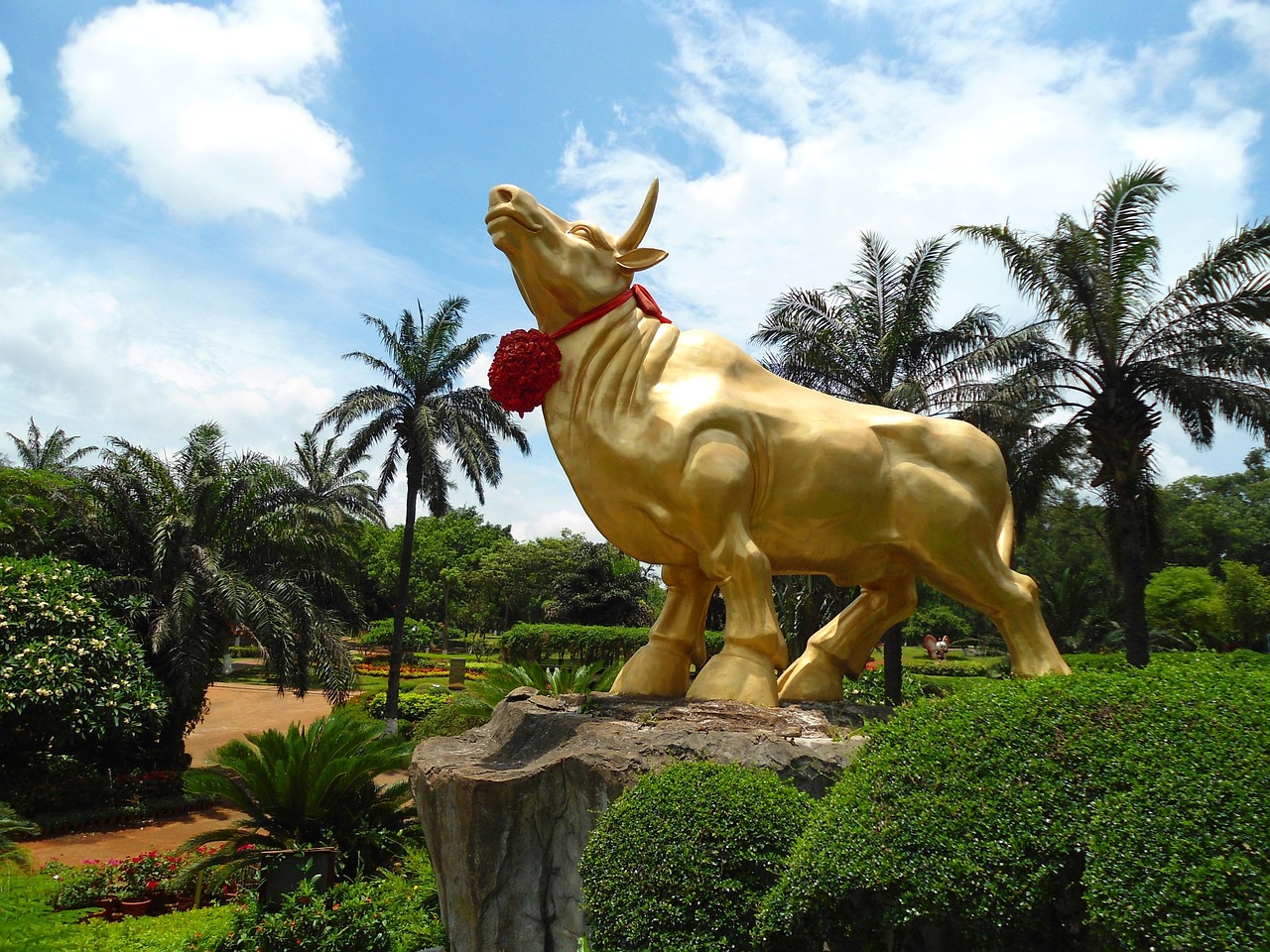 北京奧林匹克公園野兔，城市與自然和諧共生的見證者