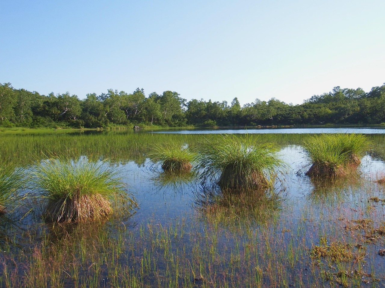 北京奧林匹克森林公園洗浴中心，體驗(yàn)與探索