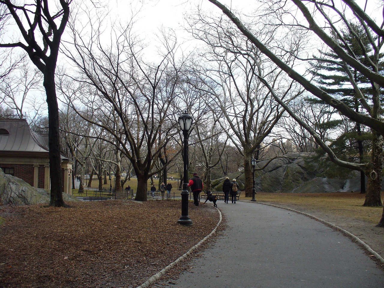 北京市奧林匹克森林公園，活力與自然的和諧融合