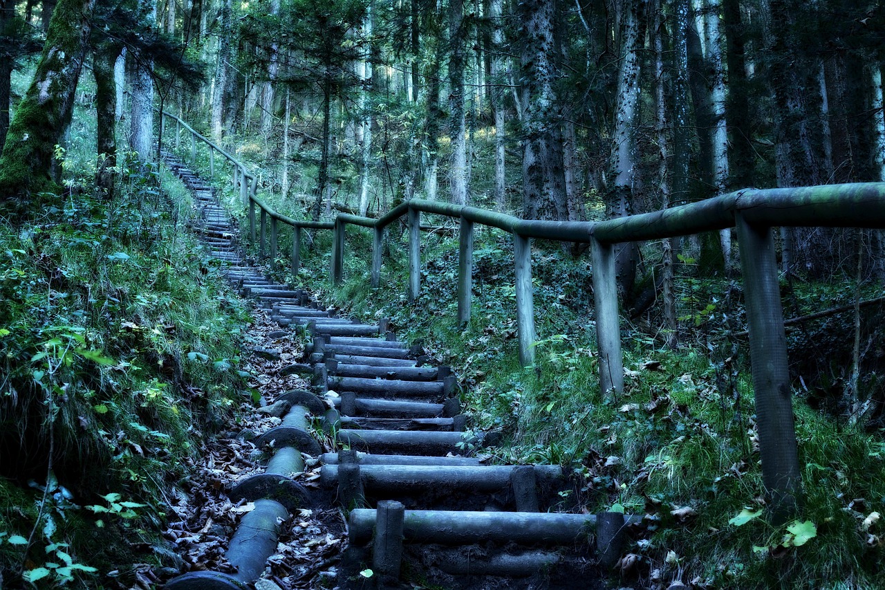 大哨森林露營燒烤地點——探索自然之美的絕佳去處